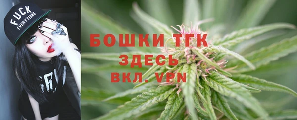 молекула духа Краснослободск