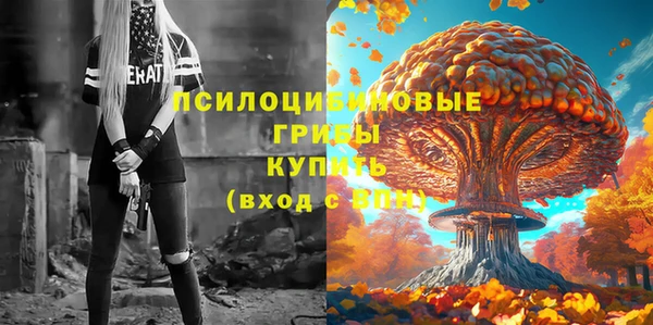 PSILOCYBIN Семикаракорск