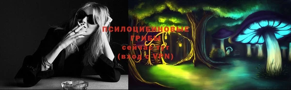 PSILOCYBIN Семикаракорск
